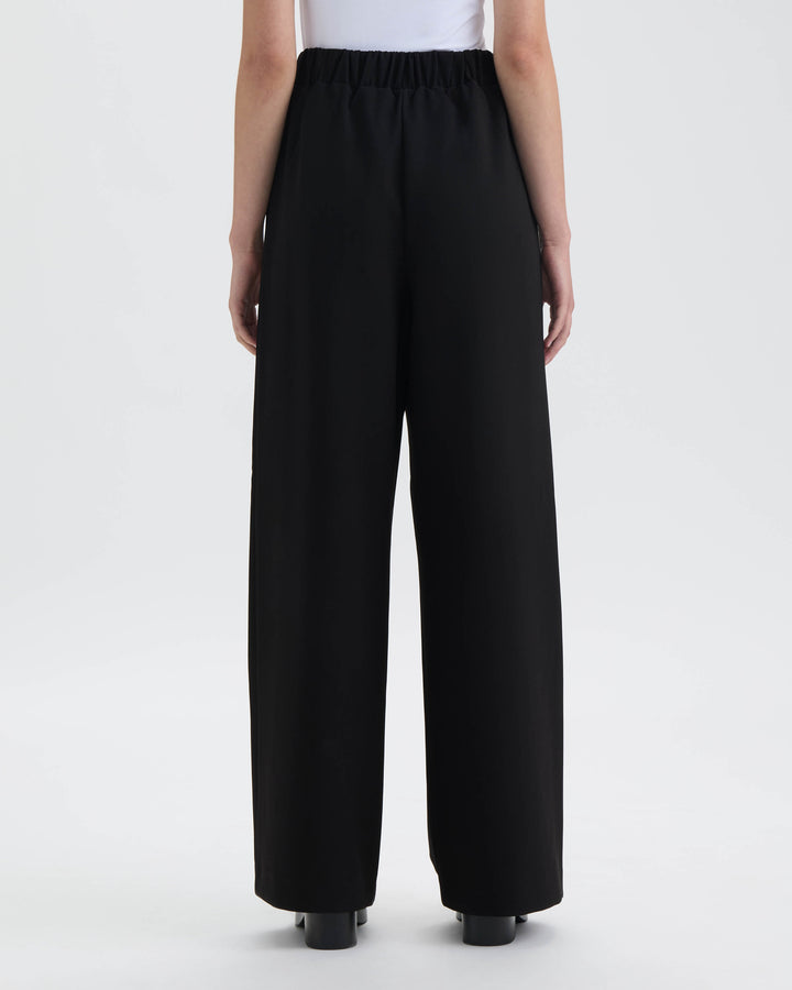 Wide Leg Pants with Pleats